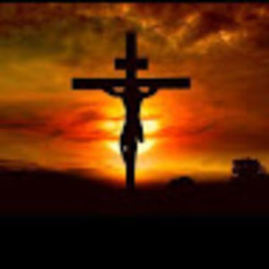 Meet your Posher, Charley